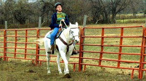 Therapeutic Riding Update