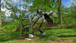 Hippo HDR Philbrook