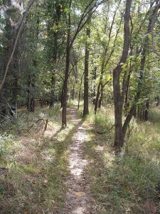 Trail at Oxley