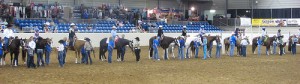 Pinto Horse Show Contestants