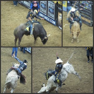 Professional Bull Riding Picnik collage 1