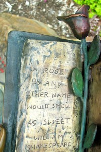 A rose by any other name