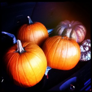 Hey we have been to the #pumpkin_patch #tulsa