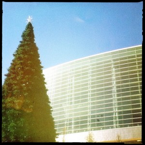 #downtown_tulsa has their christmas_tree up