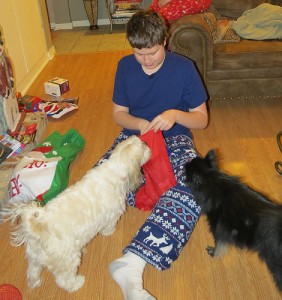 Christmas with the Critters 1