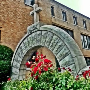 Last Bloom? #roses #arch #cross #holyfamilycathedral #tulsa #downtowntulsa #oklahoma #igersok