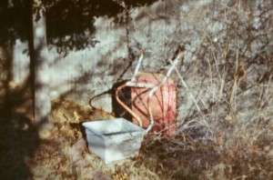 Backyard Wheelbarrow